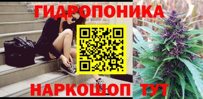 СК Новозыбков